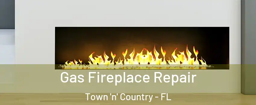  Gas Fireplace Repair Town 'n' Country - FL