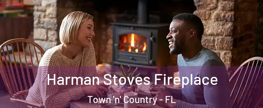  Harman Stoves Fireplace Town 'n' Country - FL