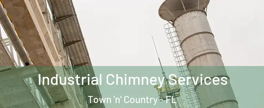  Industrial Chimney Services Town 'n' Country - FL