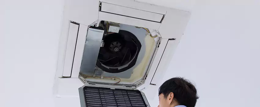Benefits of Professional Air Duct Cleaning in Town 'n' Country, Florida