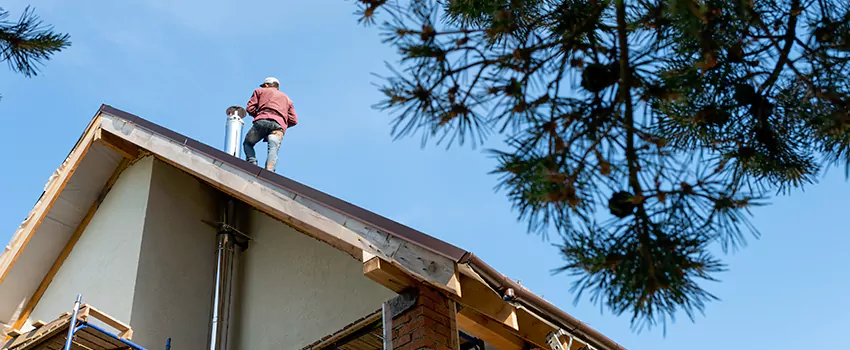 Birds Removal Contractors from Chimney in Town 'n' Country, FL