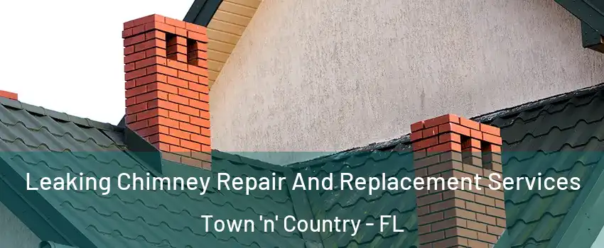  Leaking Chimney Repair And Replacement Services Town 'n' Country - FL