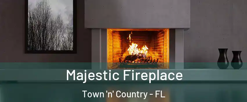  Majestic Fireplace Town 'n' Country - FL