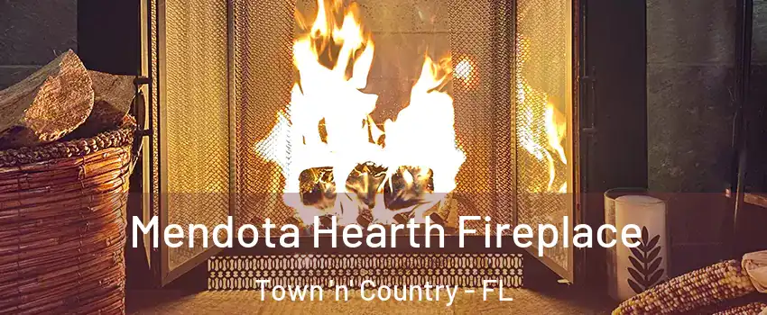  Mendota Hearth Fireplace Town 'n' Country - FL