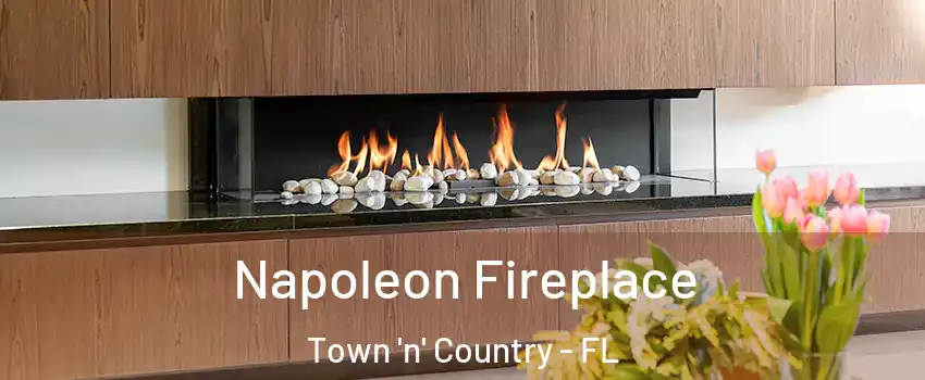  Napoleon Fireplace Town 'n' Country - FL