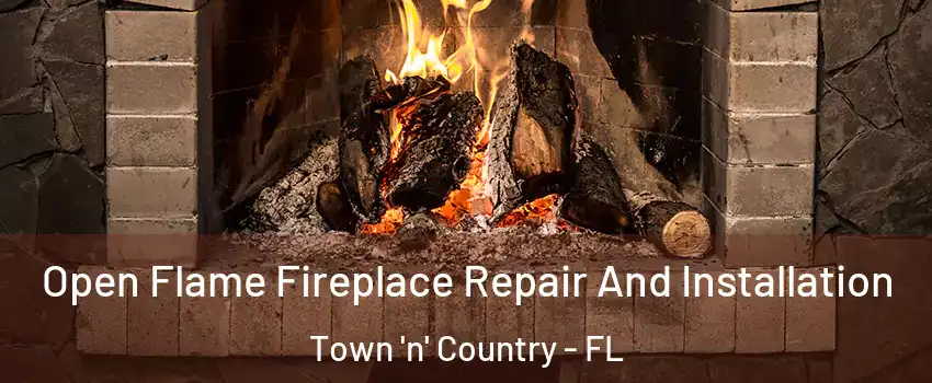  Open Flame Fireplace Repair And Installation Town 'n' Country - FL