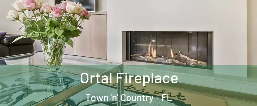  Ortal Fireplace Town 'n' Country - FL