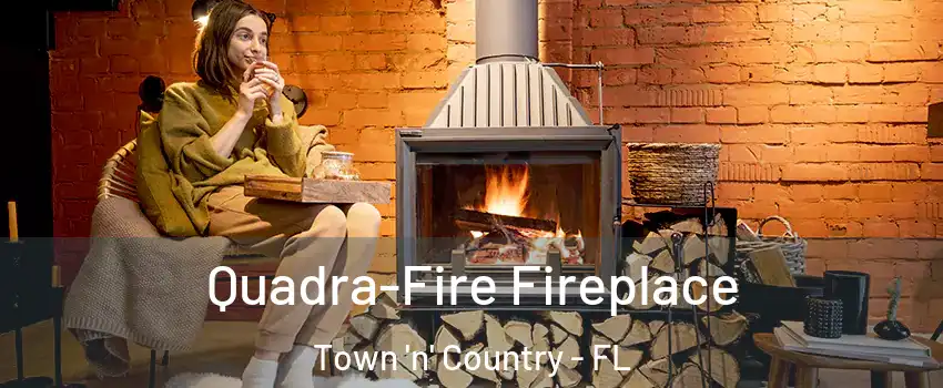  Quadra-Fire Fireplace Town 'n' Country - FL