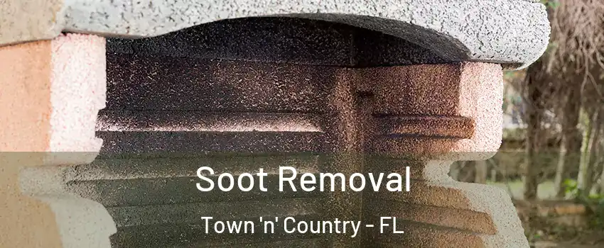  Soot Removal Town 'n' Country - FL