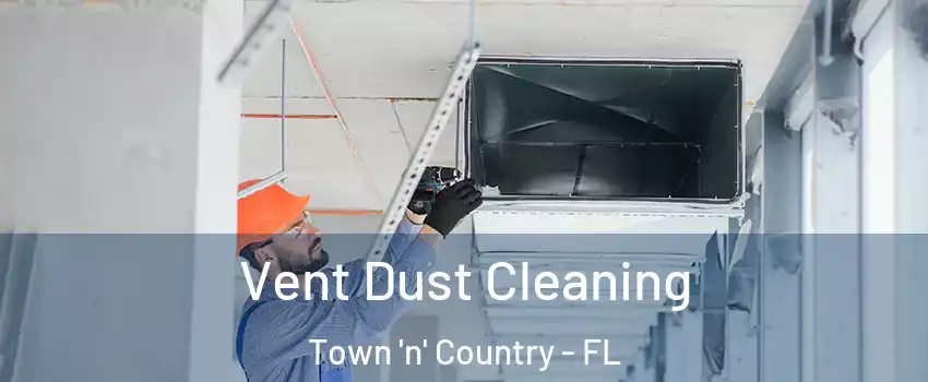 Vent Dust Cleaning Town 'n' Country - FL