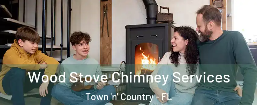  Wood Stove Chimney Services Town 'n' Country - FL
